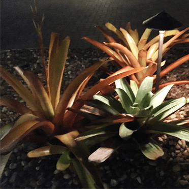 boca landscape lighting work 2